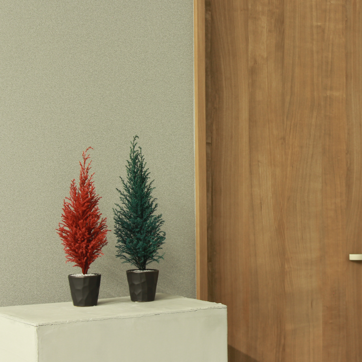 Desk tree ゴールドクレスト レッド(現品)
