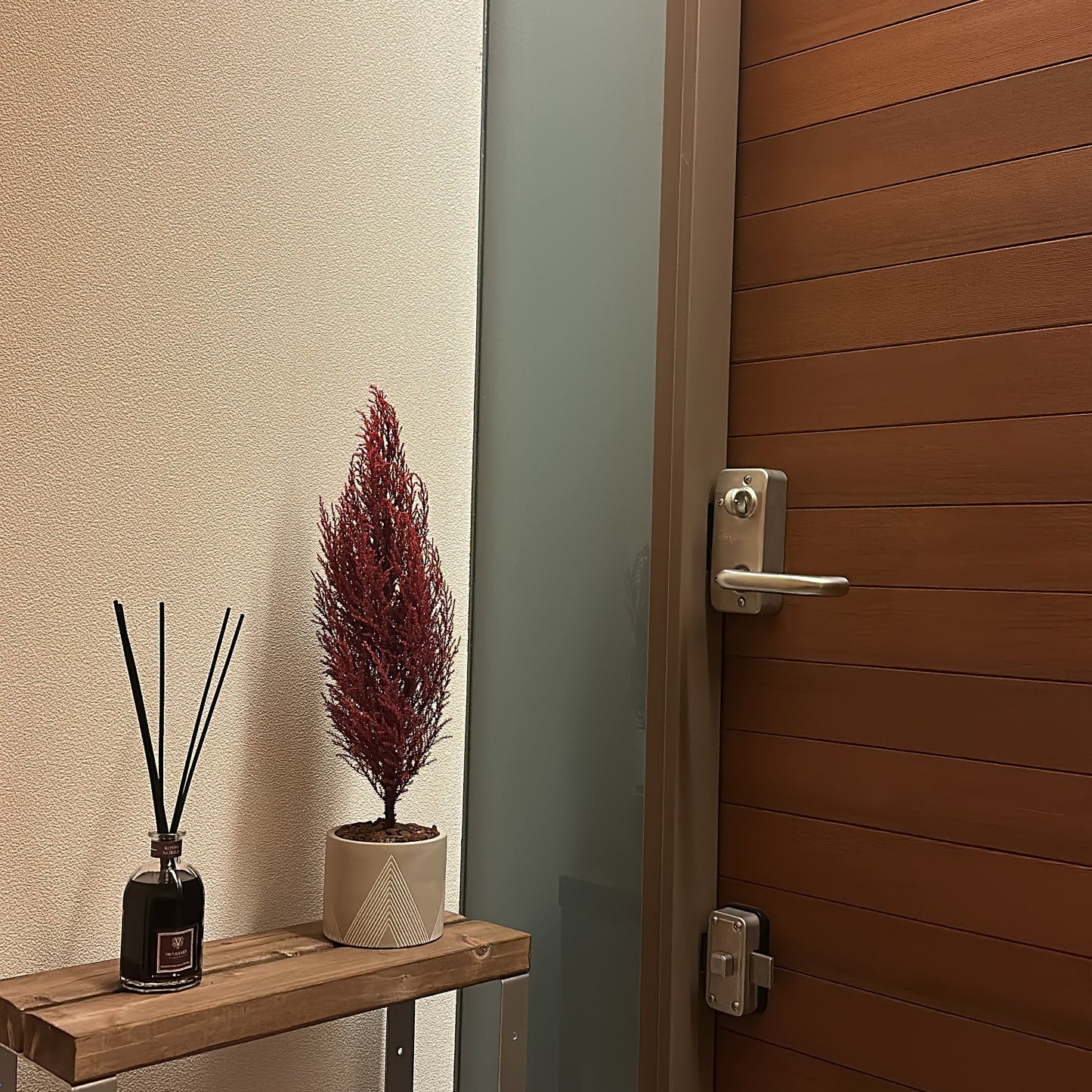 Conifer select ゴールドクレスト ワインレッド