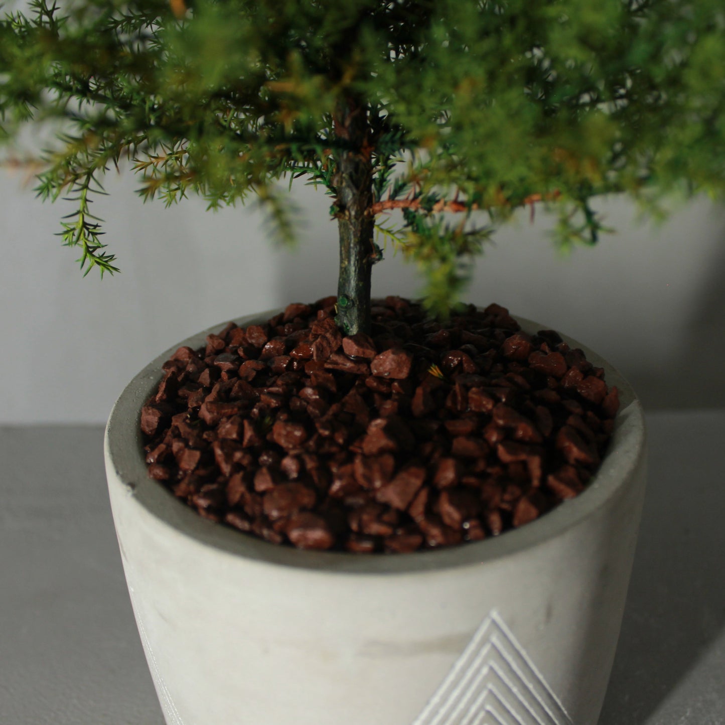 Desk tree ゴールドクレストL グリーン