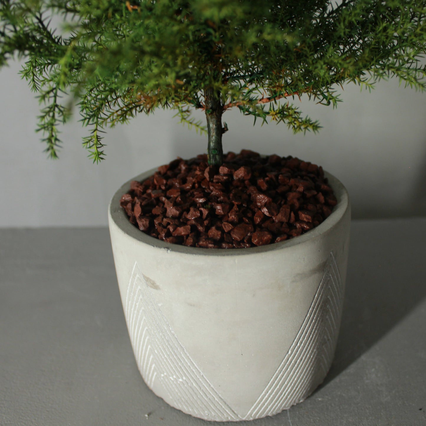 Desk tree ゴールドクレストL グリーン
