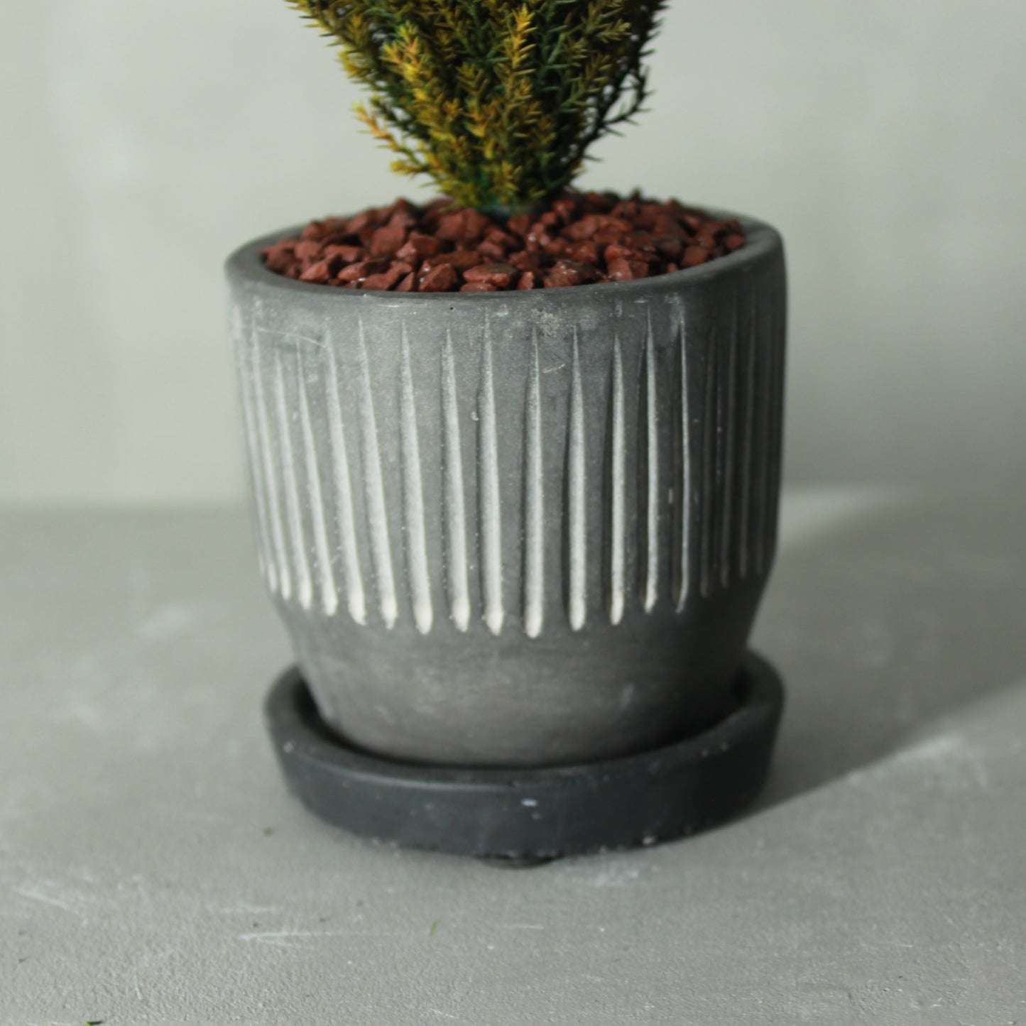 Desk tree ゴールドクレストS グリーン(黒鉢)