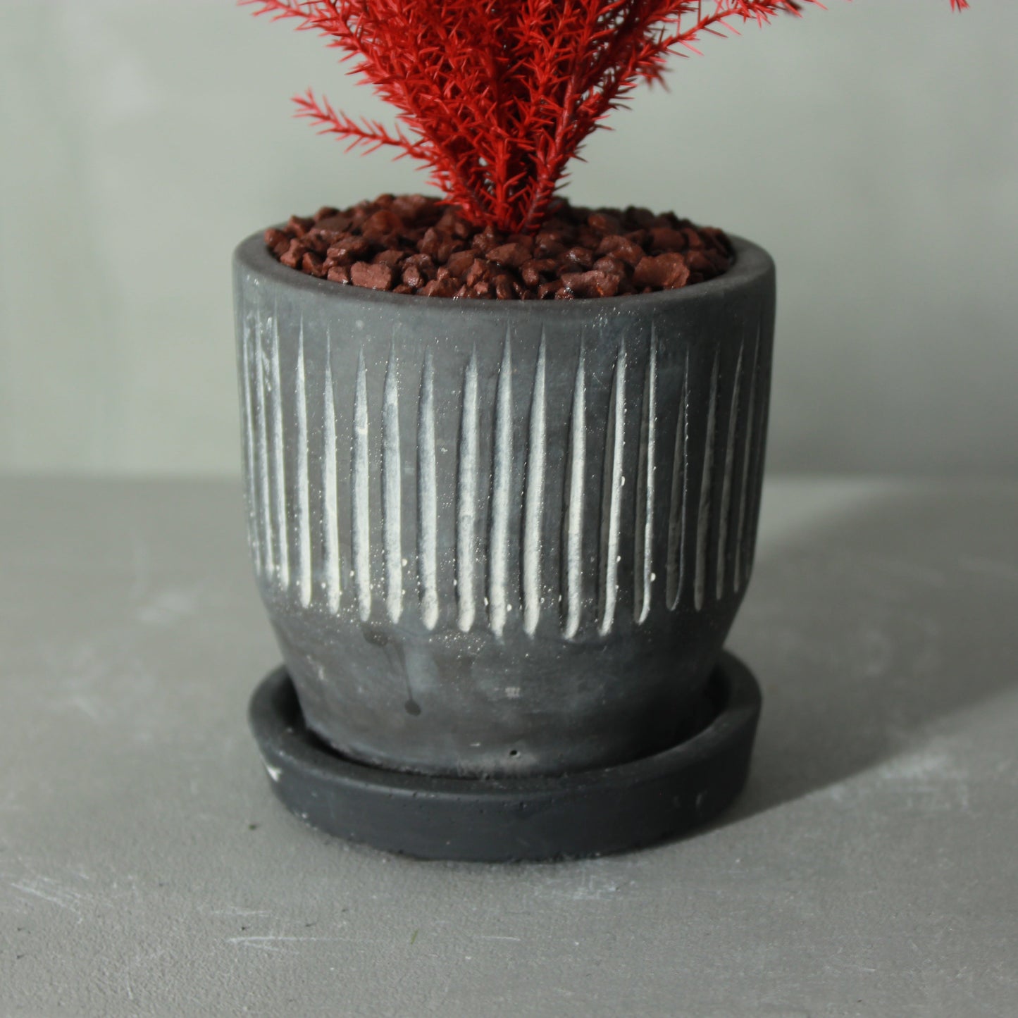 Desk tree ゴールドクレストS レッド(黒鉢)