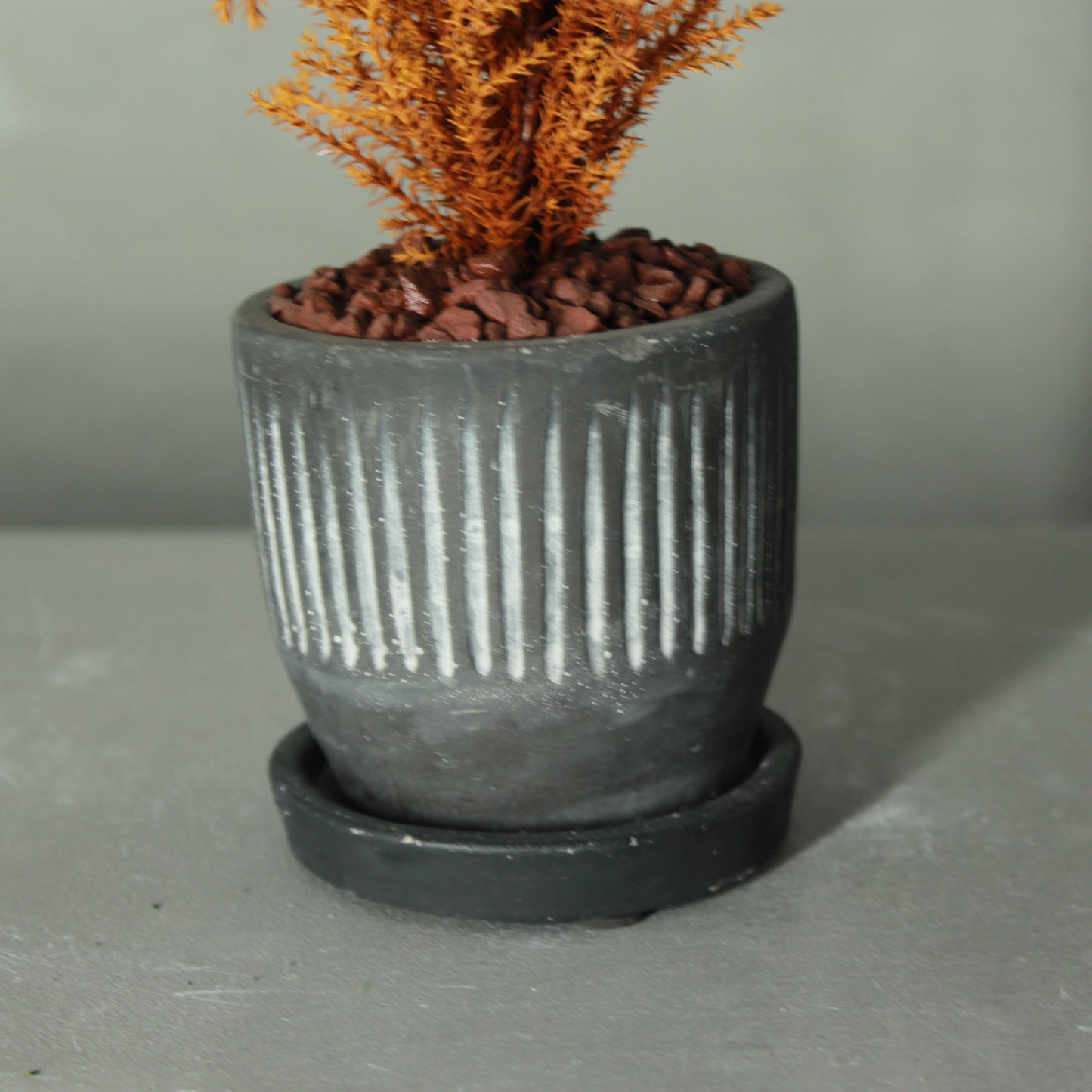 Desk tree ゴールドクレストS イエロー(黒鉢)