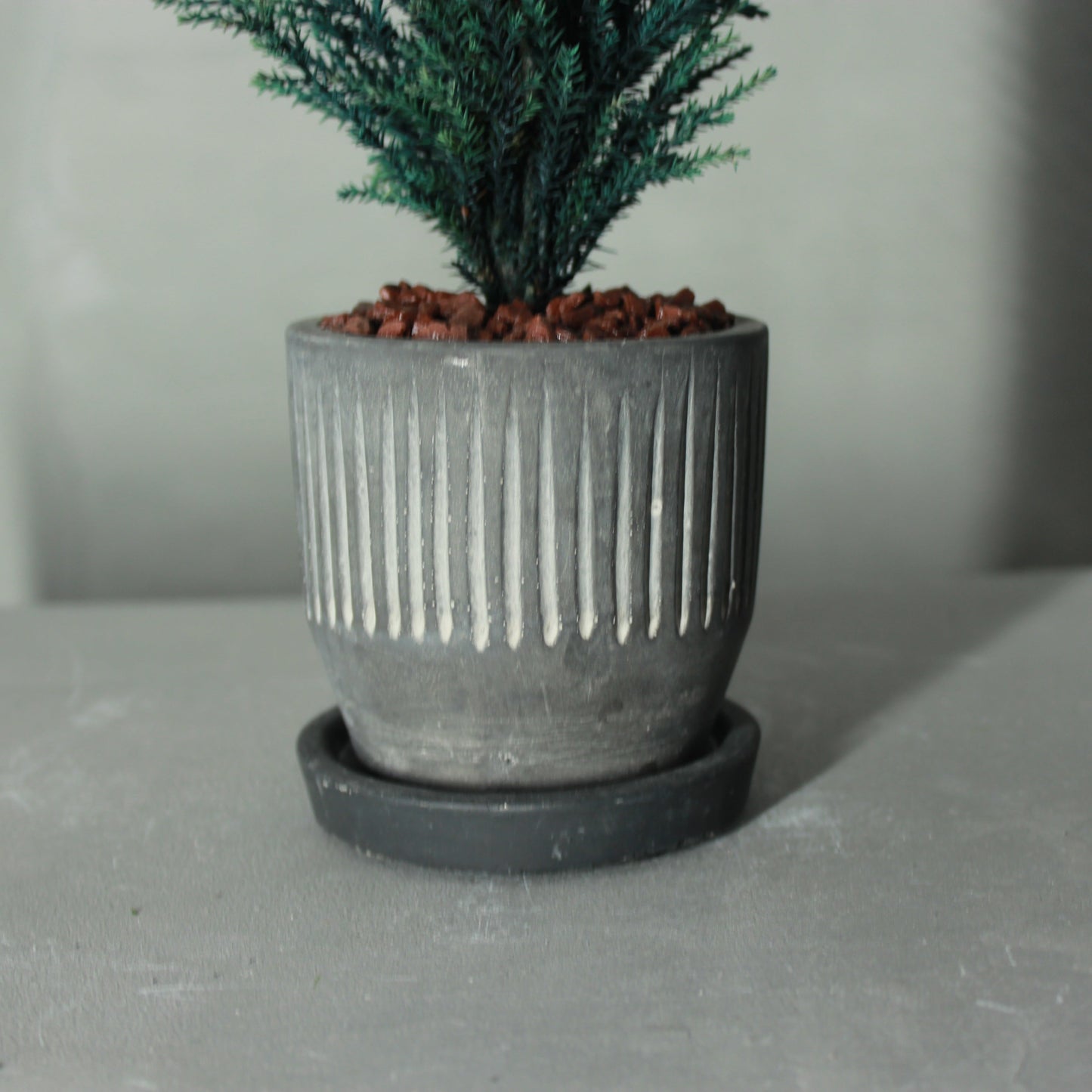 Desk tree ゴールドクレストS ブルー(黒鉢)