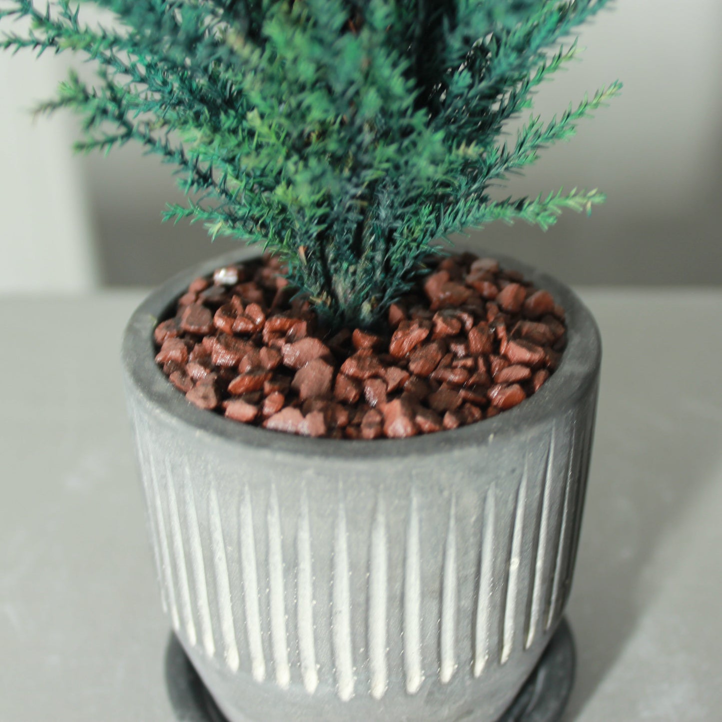 Desk tree ゴールドクレストS ブルー(黒鉢)