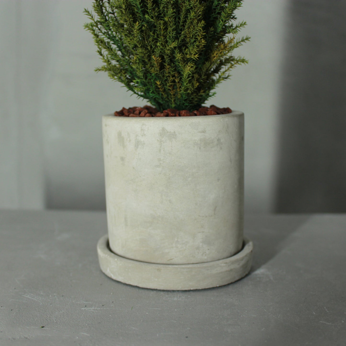 Desk tree ゴールドクレストM グリーン