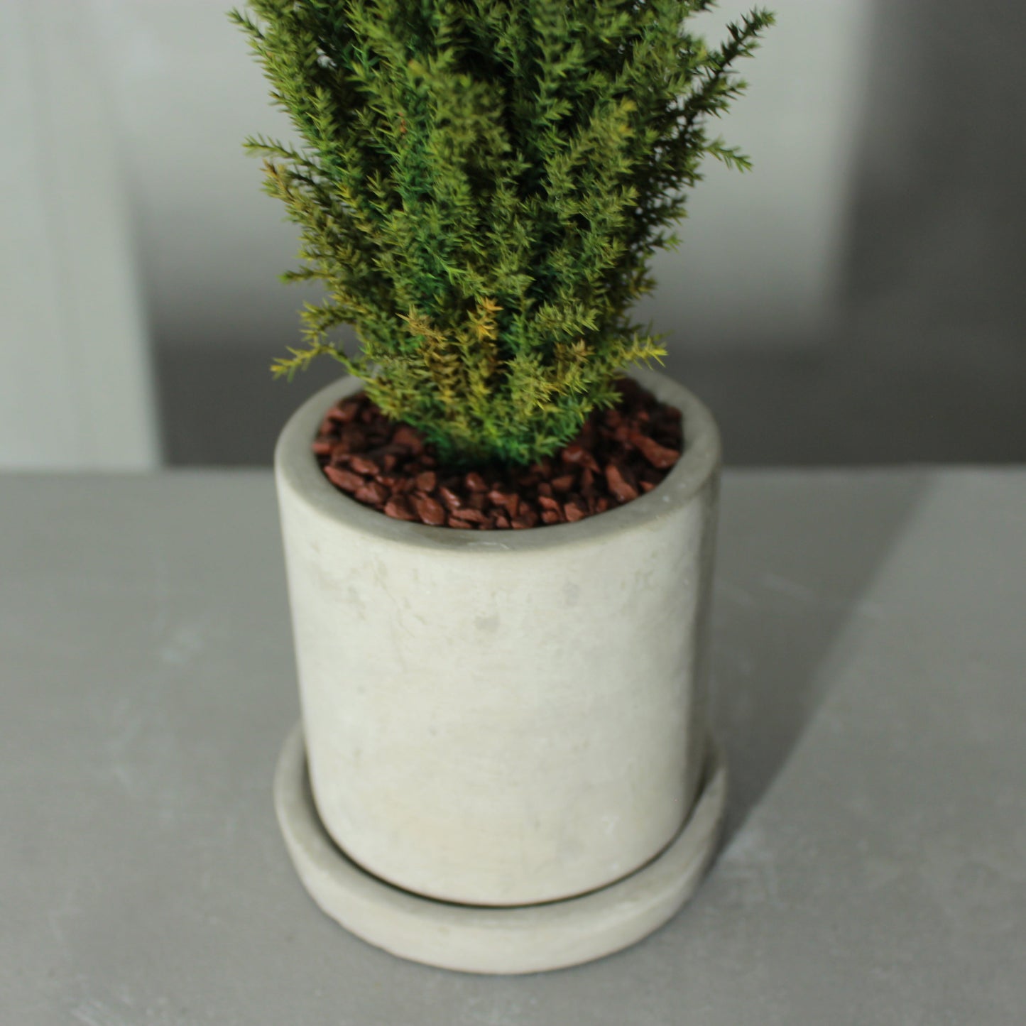 Desk tree ゴールドクレストM グリーン