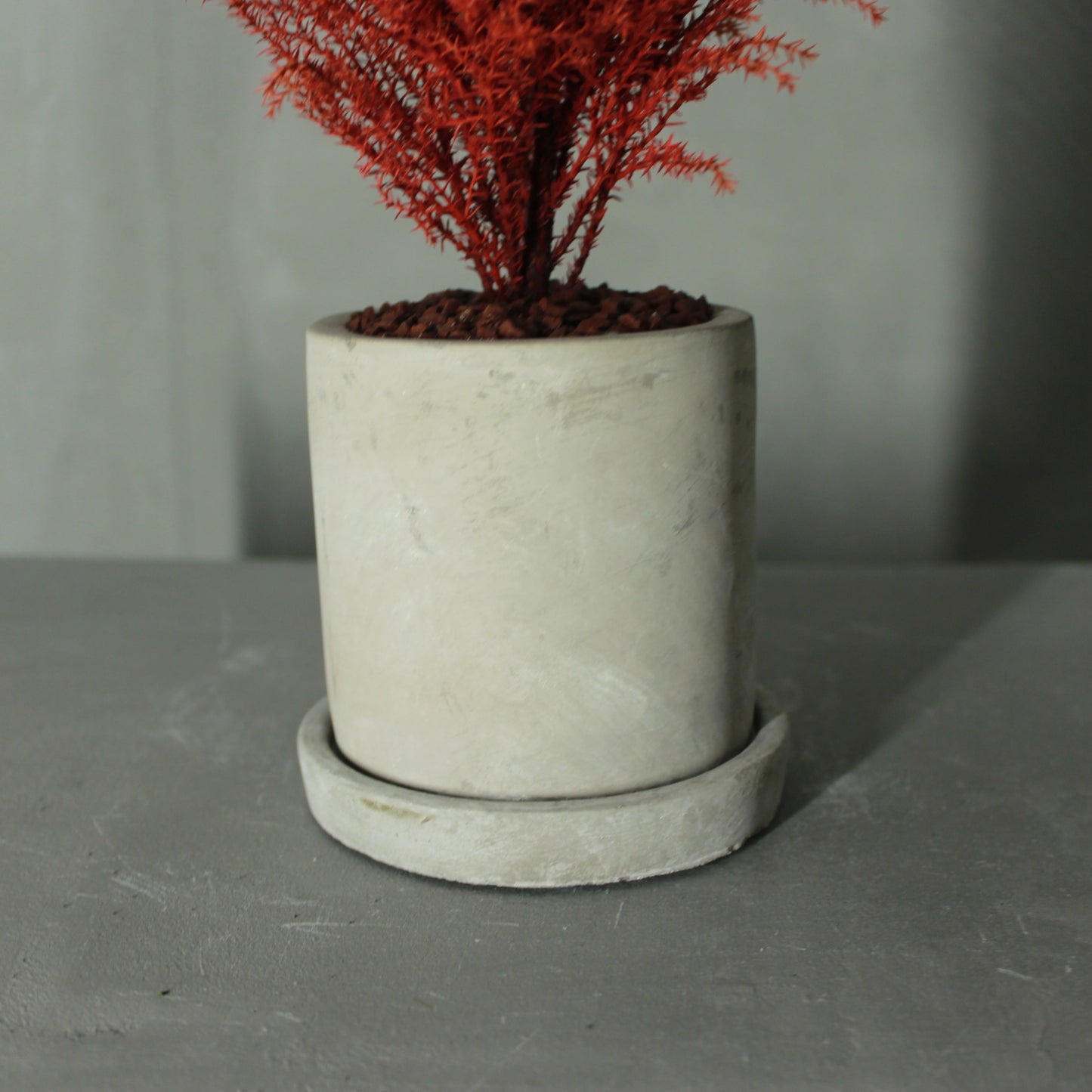 Desk tree ゴールドクレストM レッド