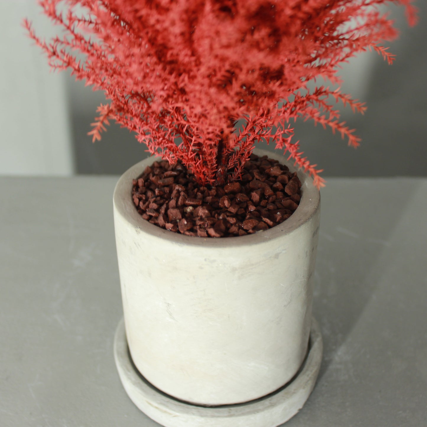 Desk tree ゴールドクレストM レッド