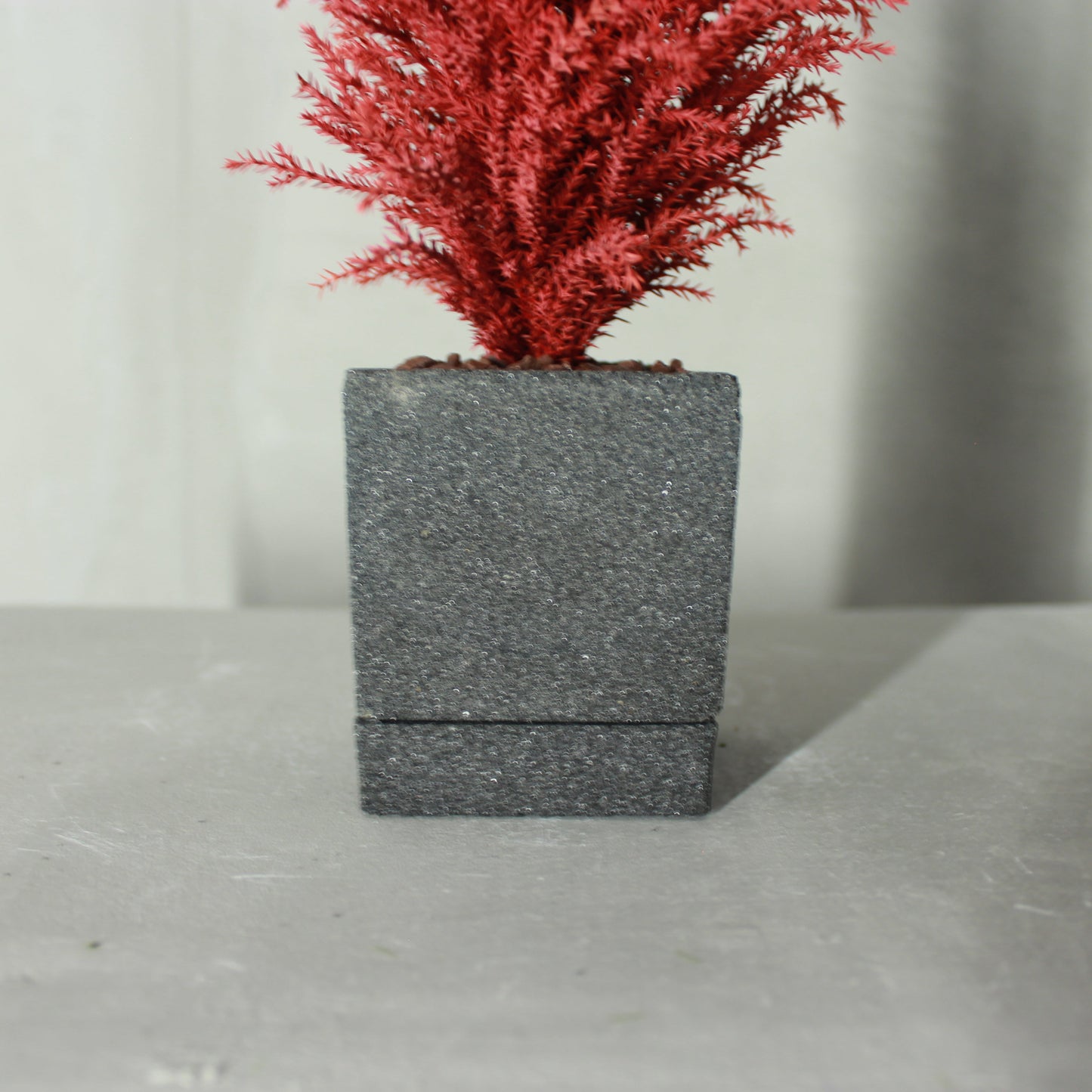 Desk tree ゴールドクレストS レッド(砂鉢)