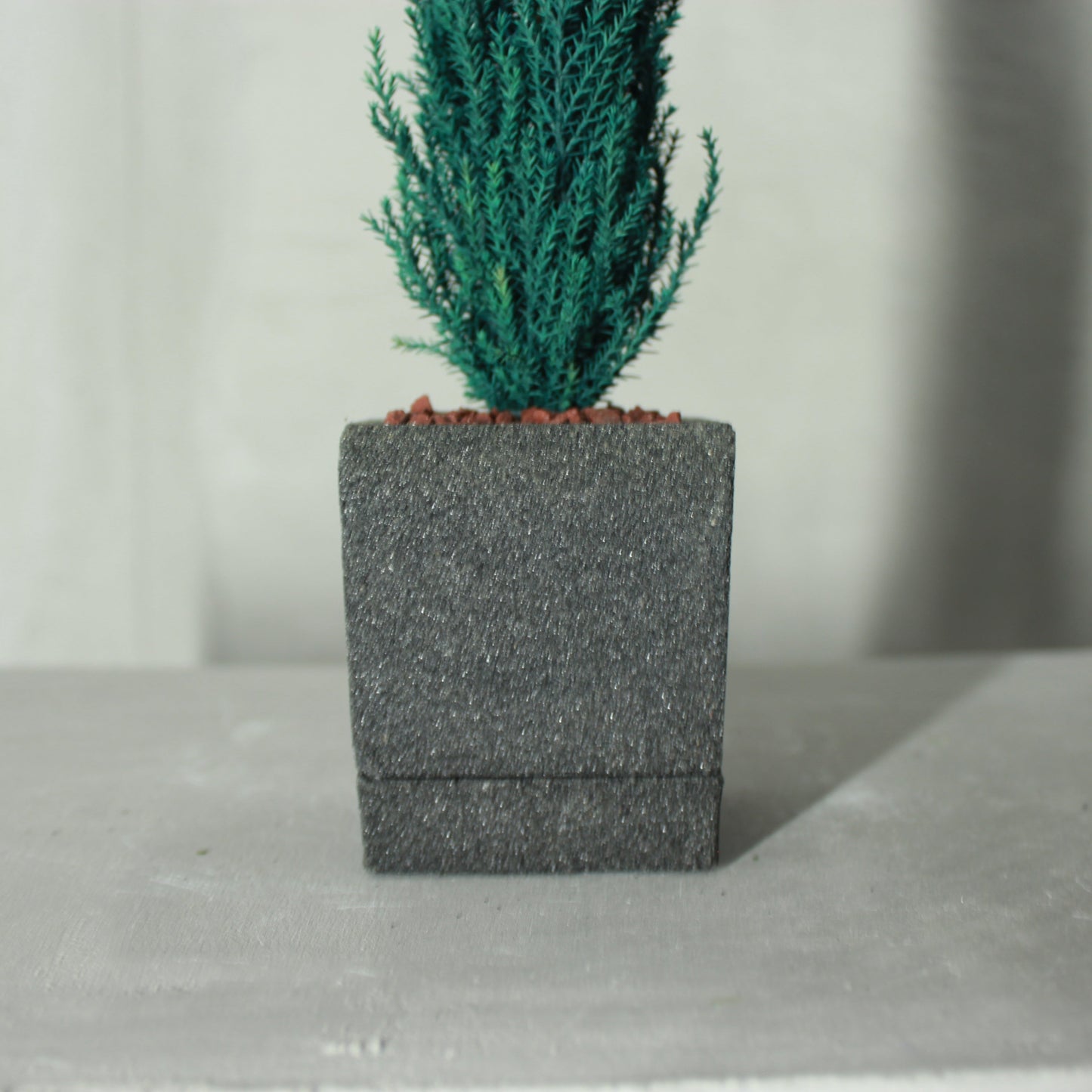 Desk tree ゴールドクレストS ブルー(砂鉢)