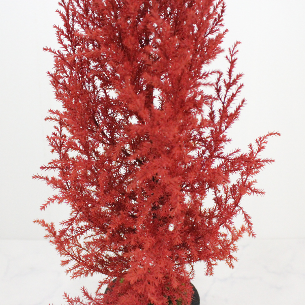 Desk tree ゴールドクレストL レッド