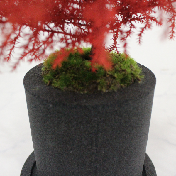 Desk tree ゴールドクレストL レッド