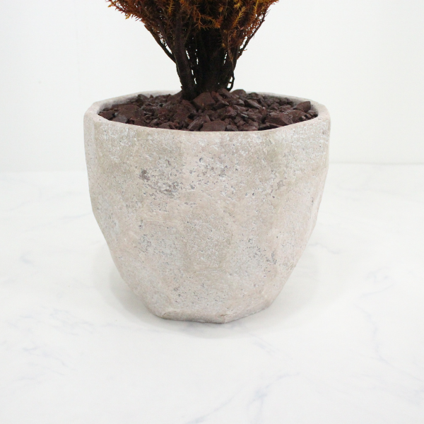 Floor tree ゴールドクレスト トルネード イエロー