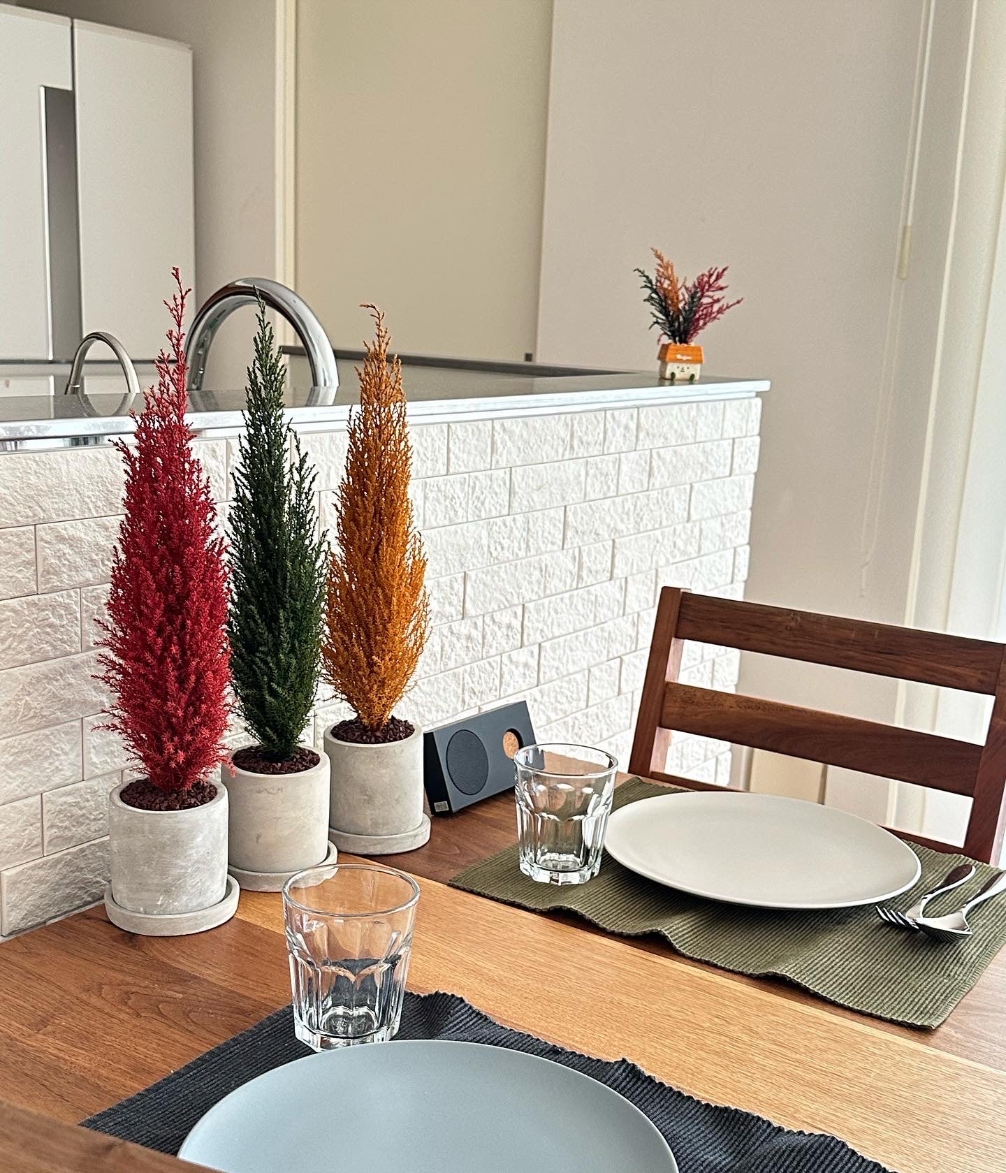 Desk tree ゴールドクレストM 丸鉢