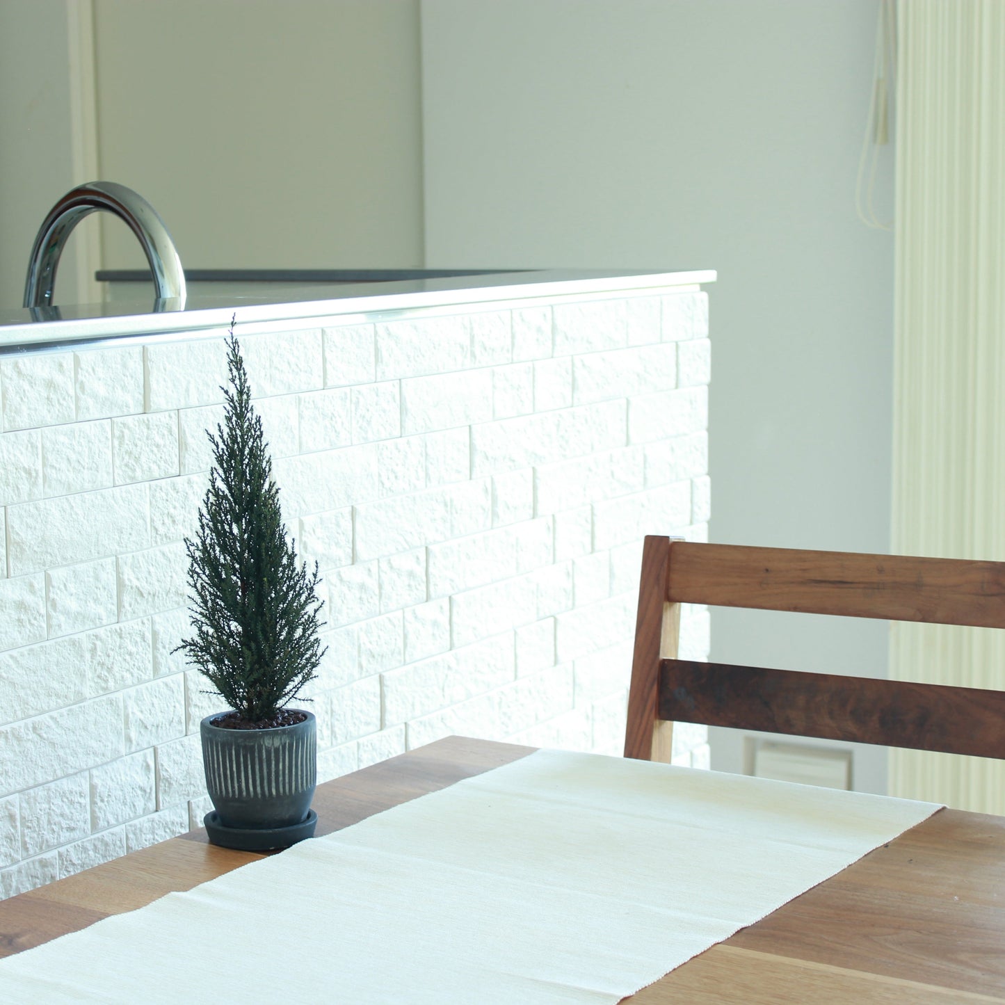 Desk tree ゴールドクレストS グリーン(黒鉢)