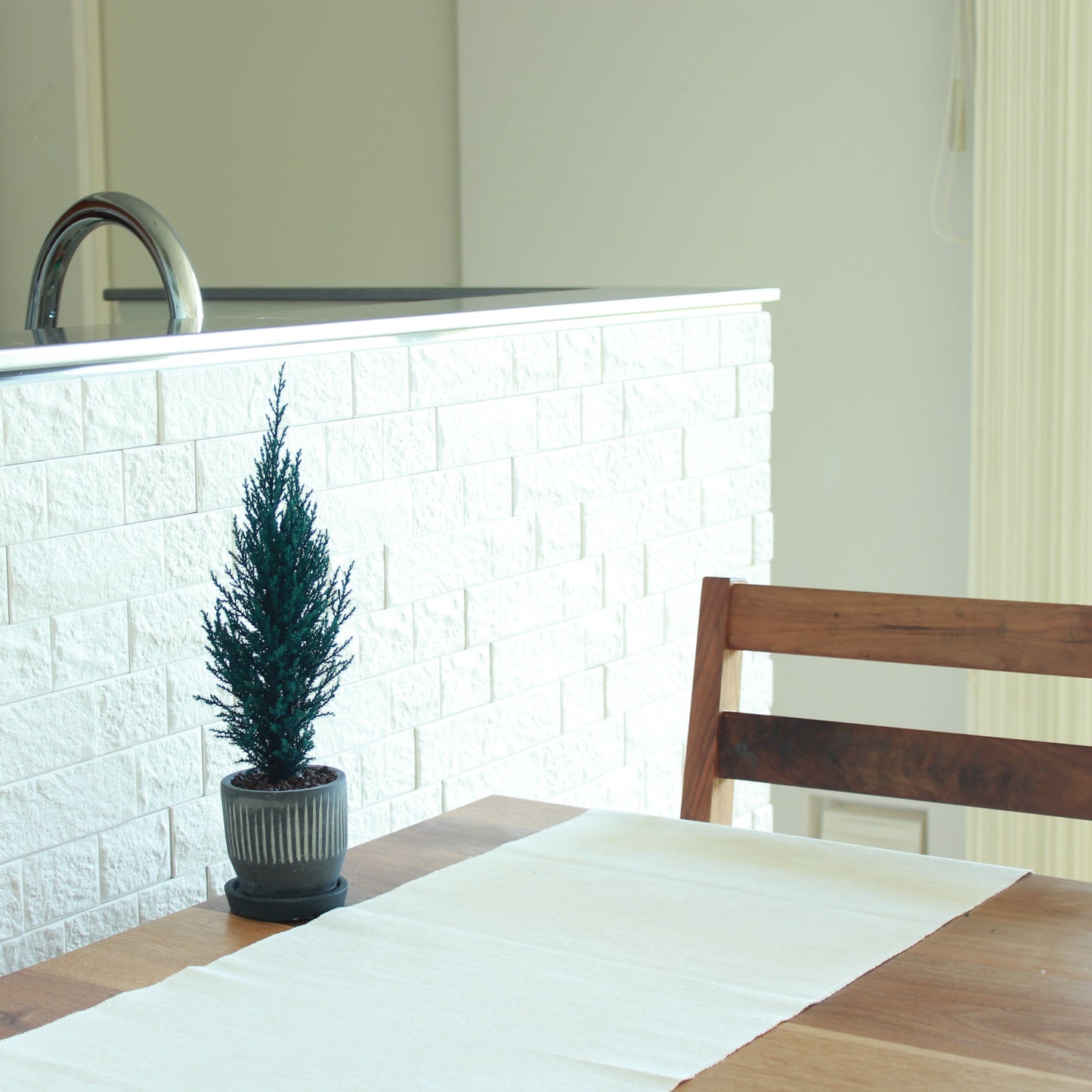 Desk tree ゴールドクレストS ブルー(黒鉢)