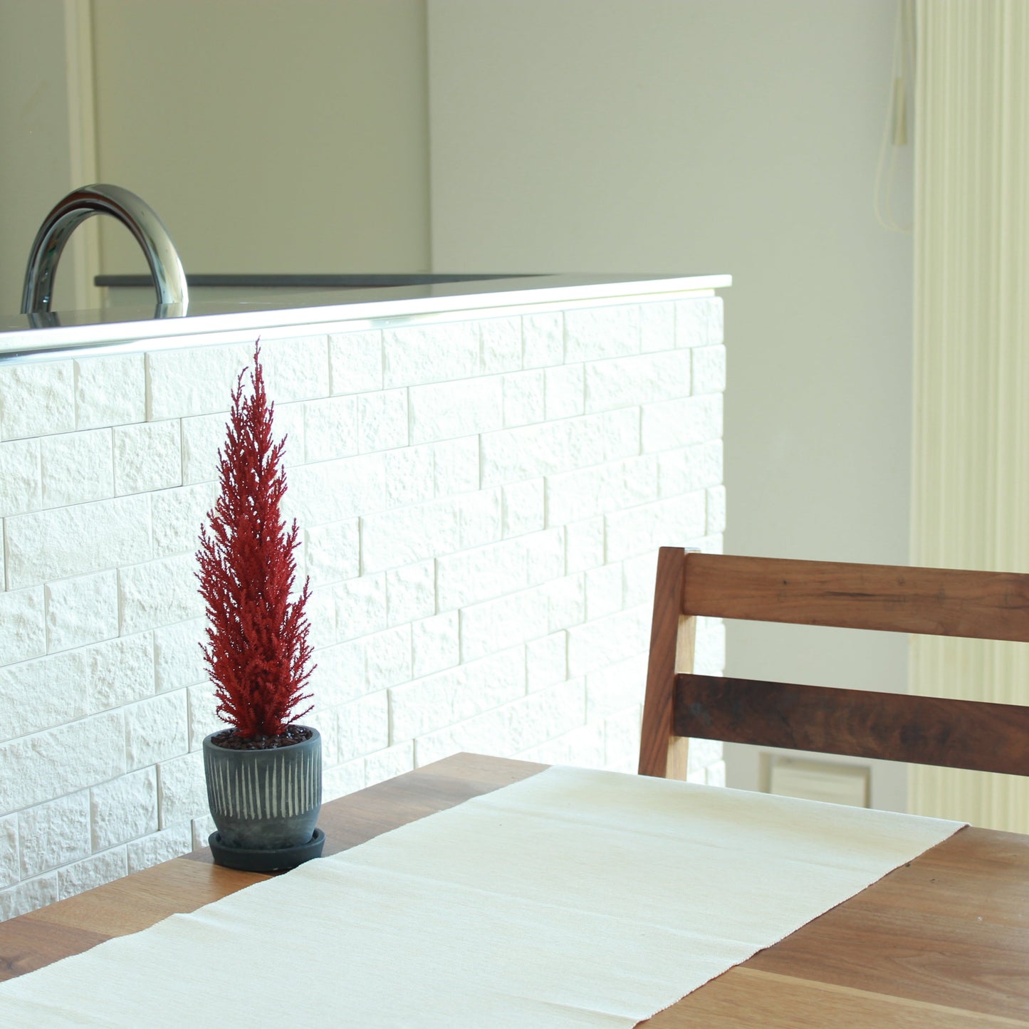 Desk tree ゴールドクレストS レッド(黒鉢)