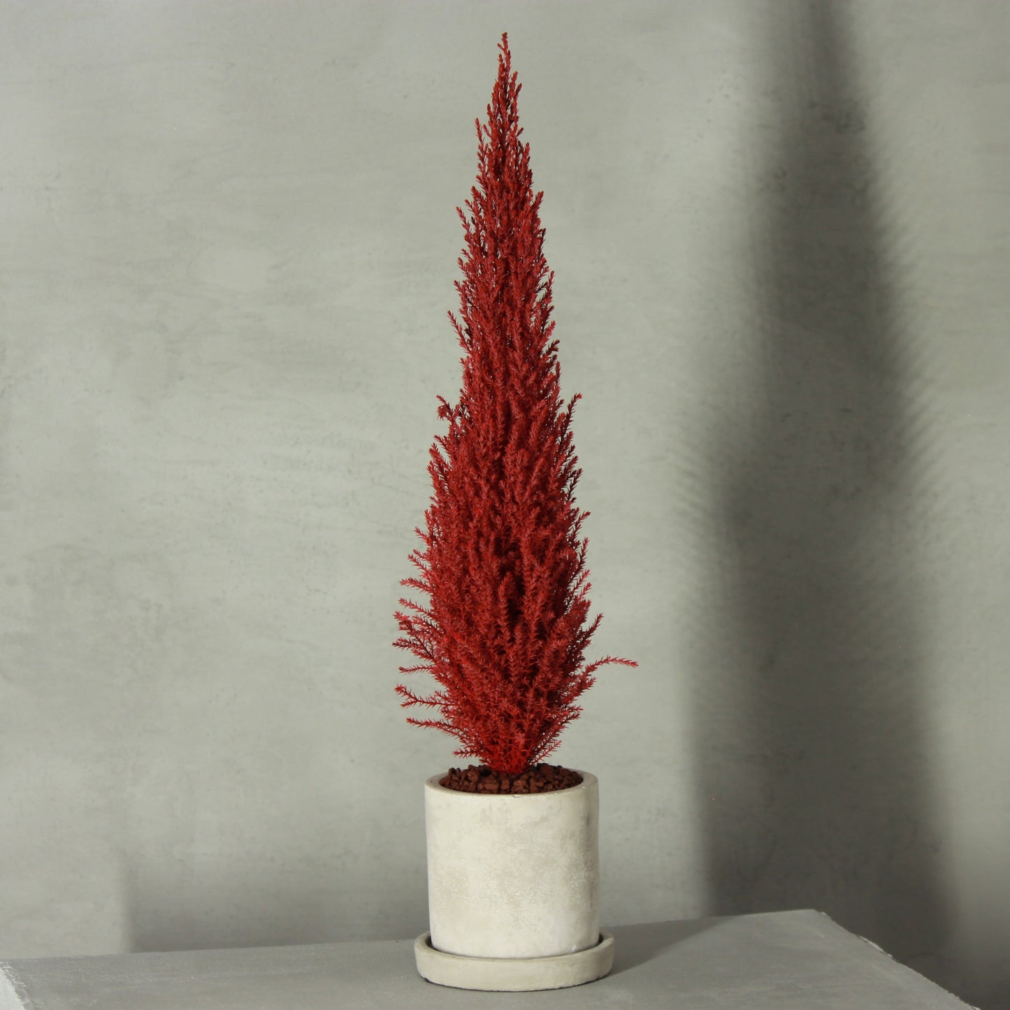 Desk tree ゴールドクレストM レッド