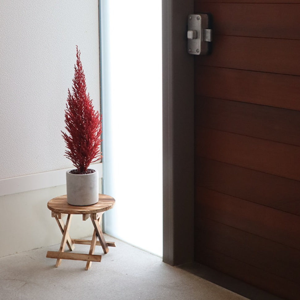 Desk tree ゴールドクレストM レッド