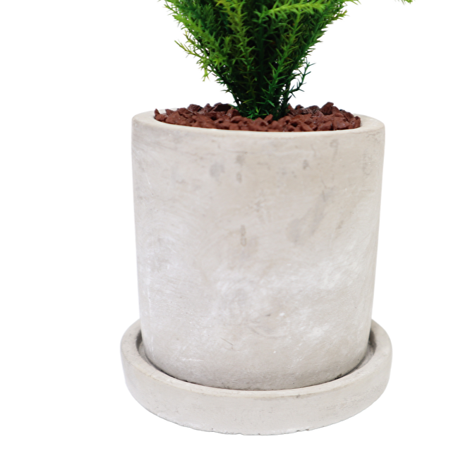 Desk tree ゴールドクレストM グリーン
