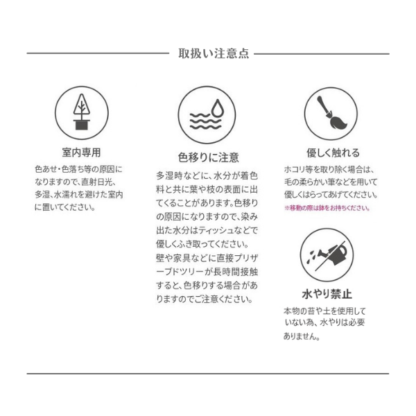 Floor tree ゴールドクレスト タマチラシ レッド