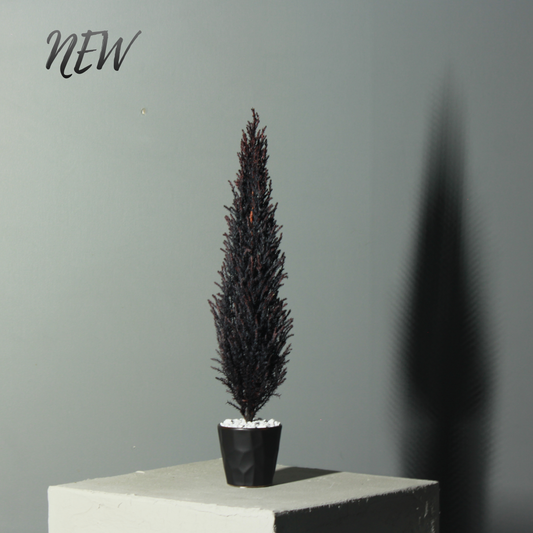 Desk tree ゴールドクレスト バイオレット（現品）