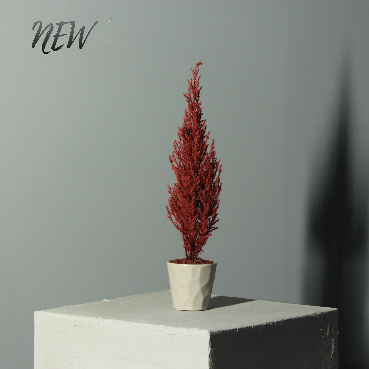 Desk tree ゴールドクレスト レッド（現品）