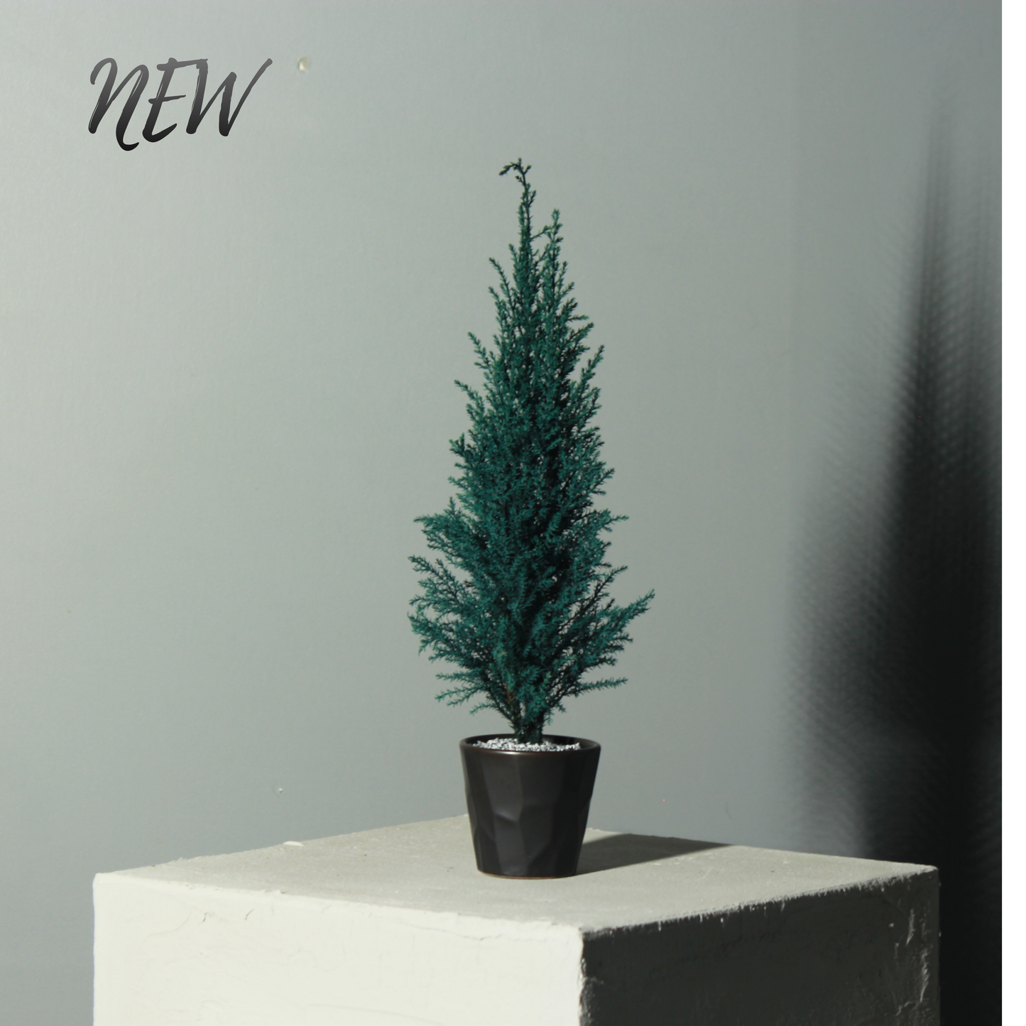 Desk tree ゴールドクレスト ブルー（現品）