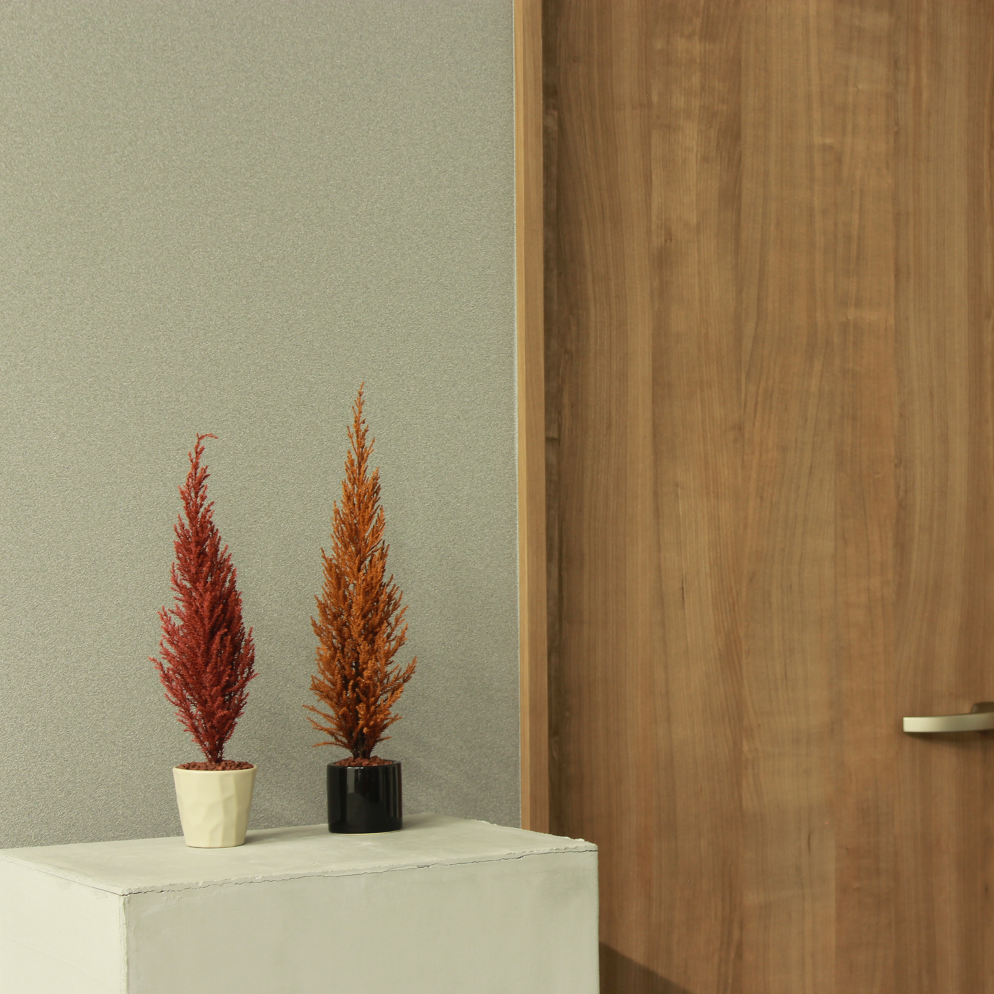 Desk tree ゴールドクレスト レッド（現品）