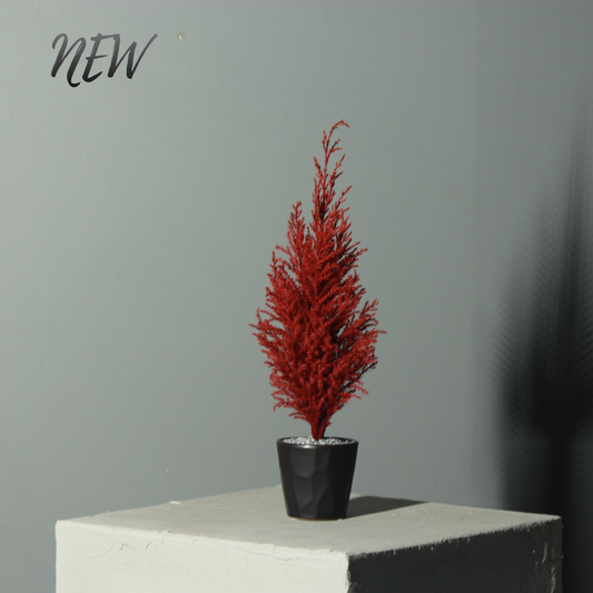 Desk tree ゴールドクレスト レッド（現品）