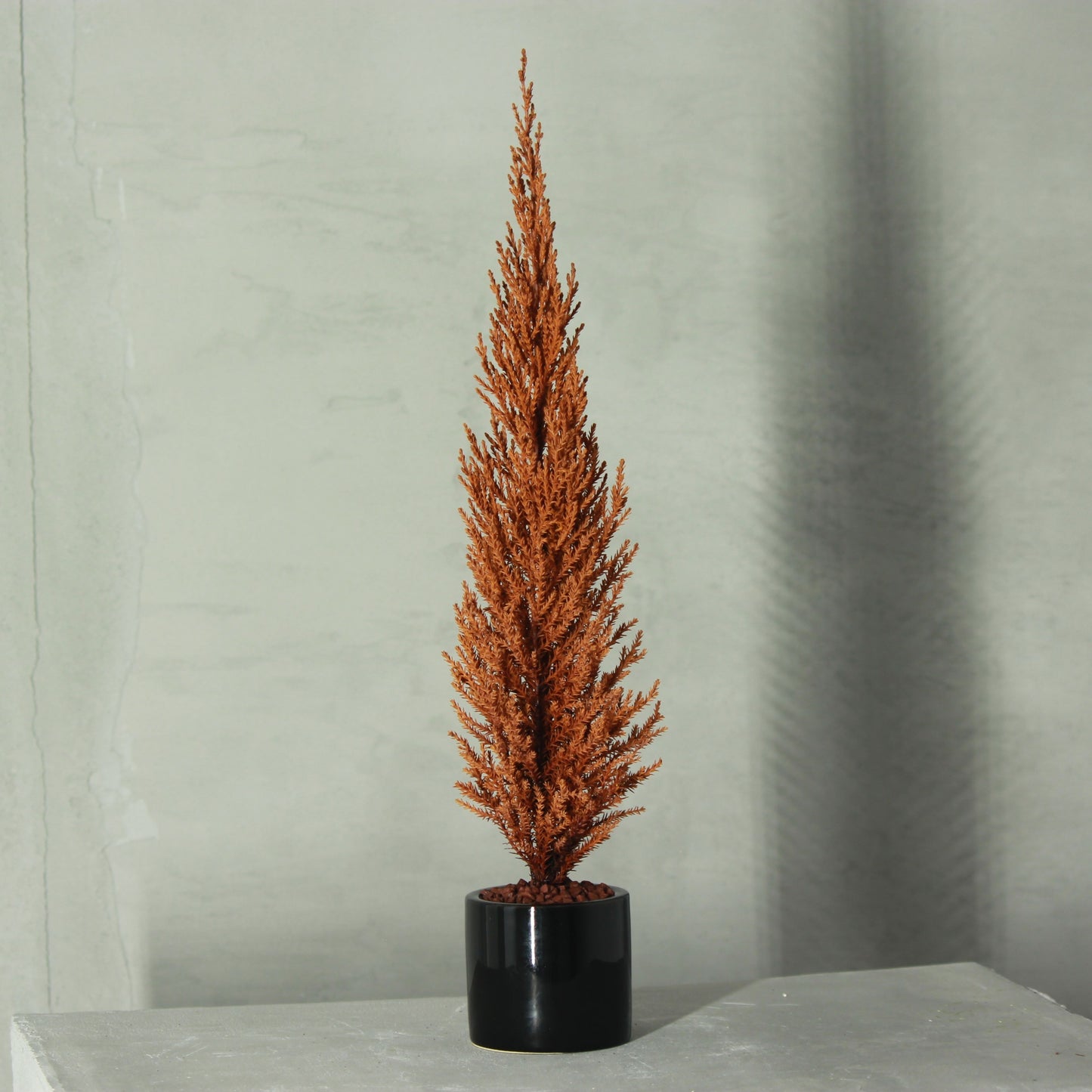 Desk tree ゴールドクレスト イエロー（現品）