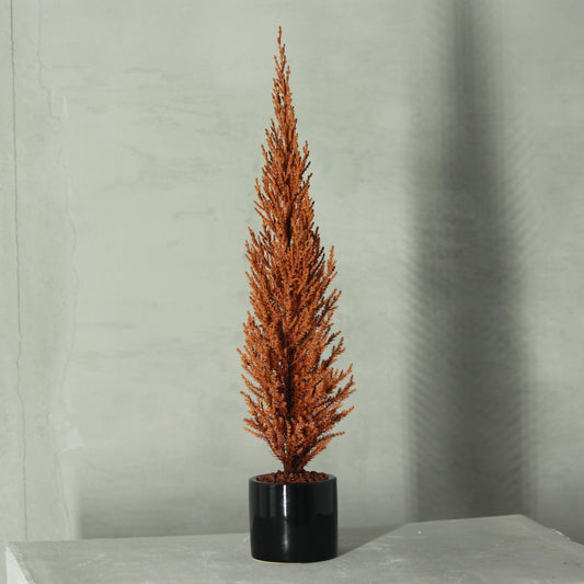 Desk tree ゴールドクレスト イエロー（現品）