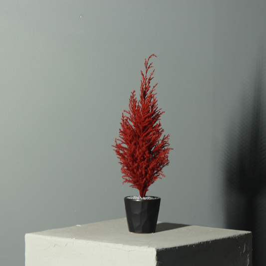 Desk tree ゴールドクレスト レッド（現品）