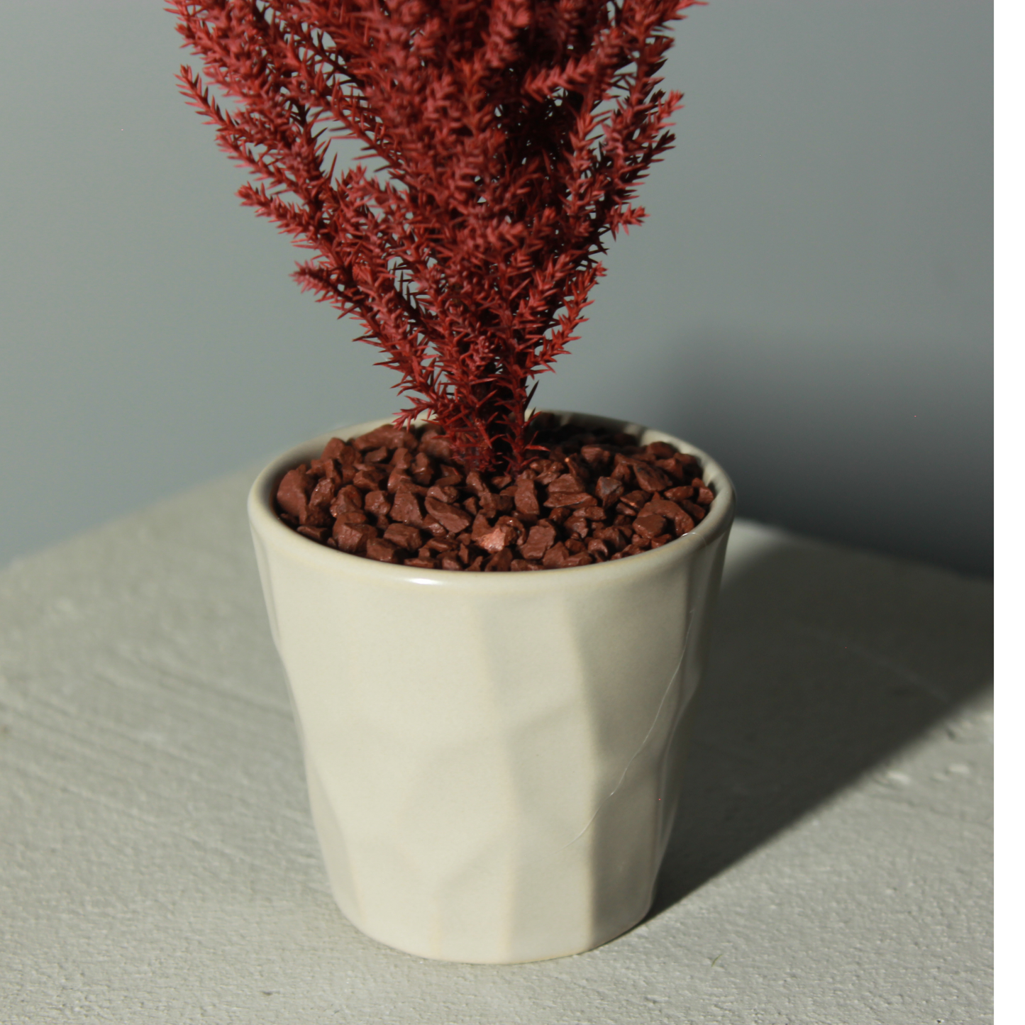 Desk tree ゴールドクレスト レッド（現品）