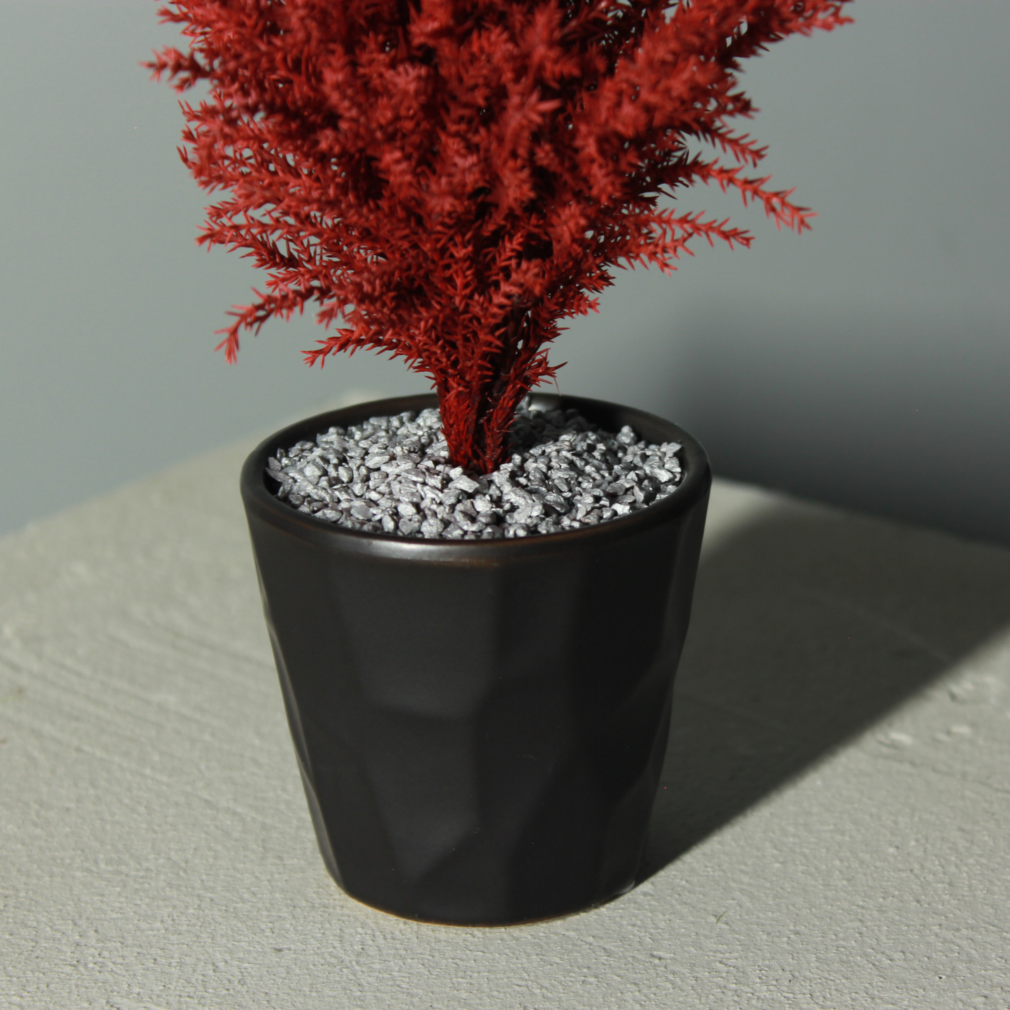Desk tree ゴールドクレスト レッド（現品）