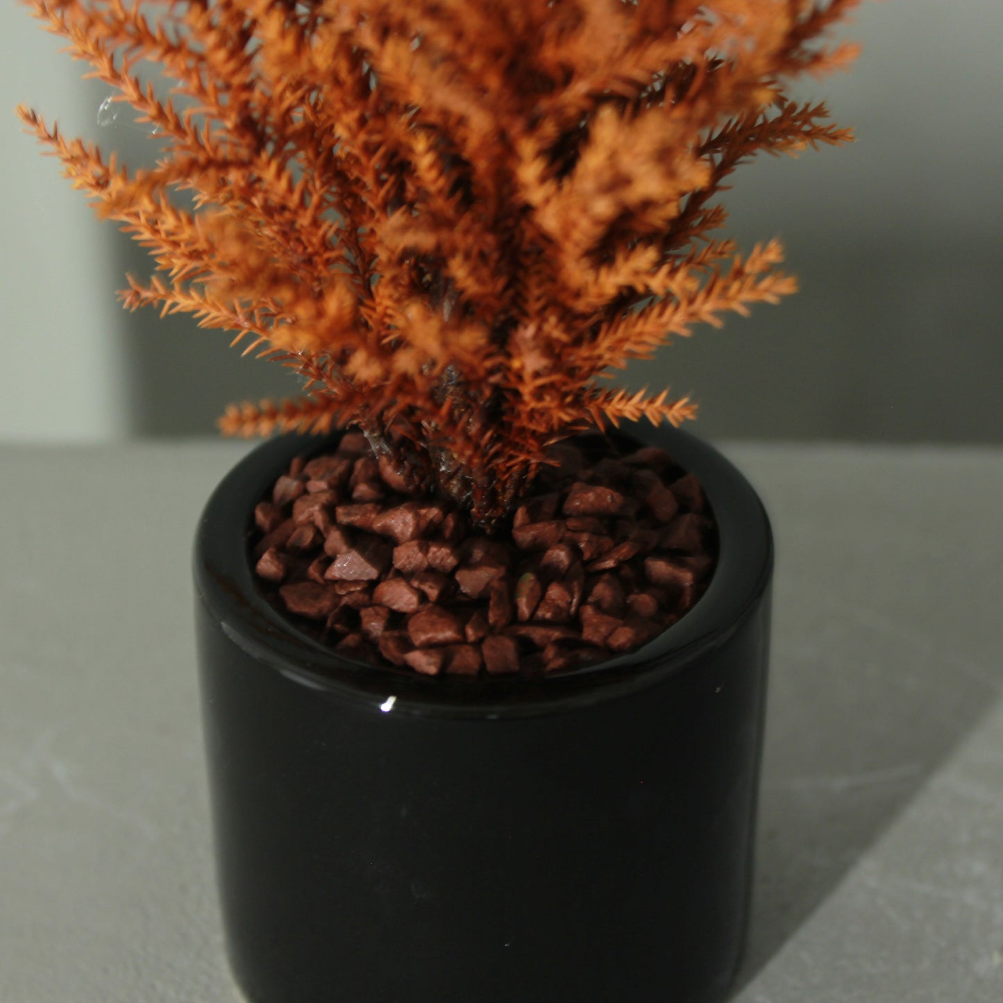 Desk tree ゴールドクレストS イエロー（現品）