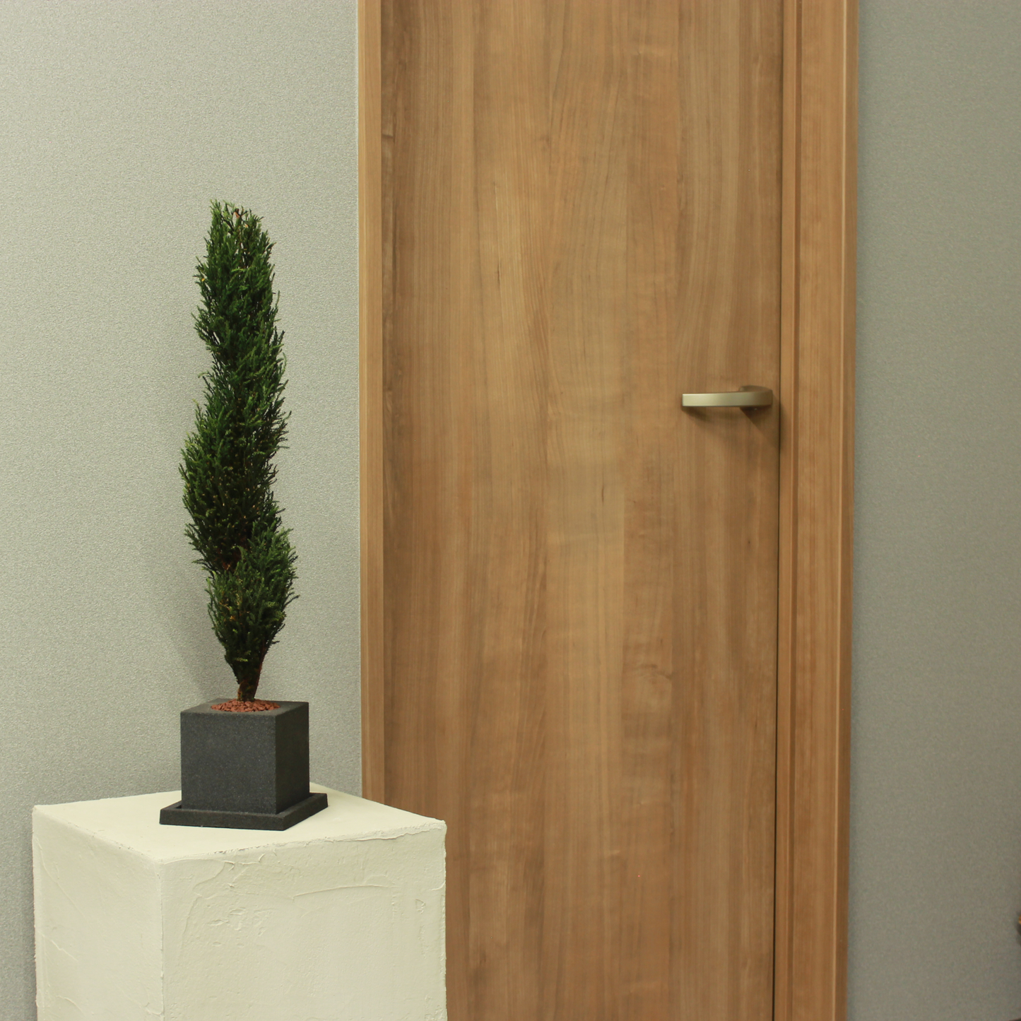 Conifer select  ゴールドクレスト トルネード グリーン