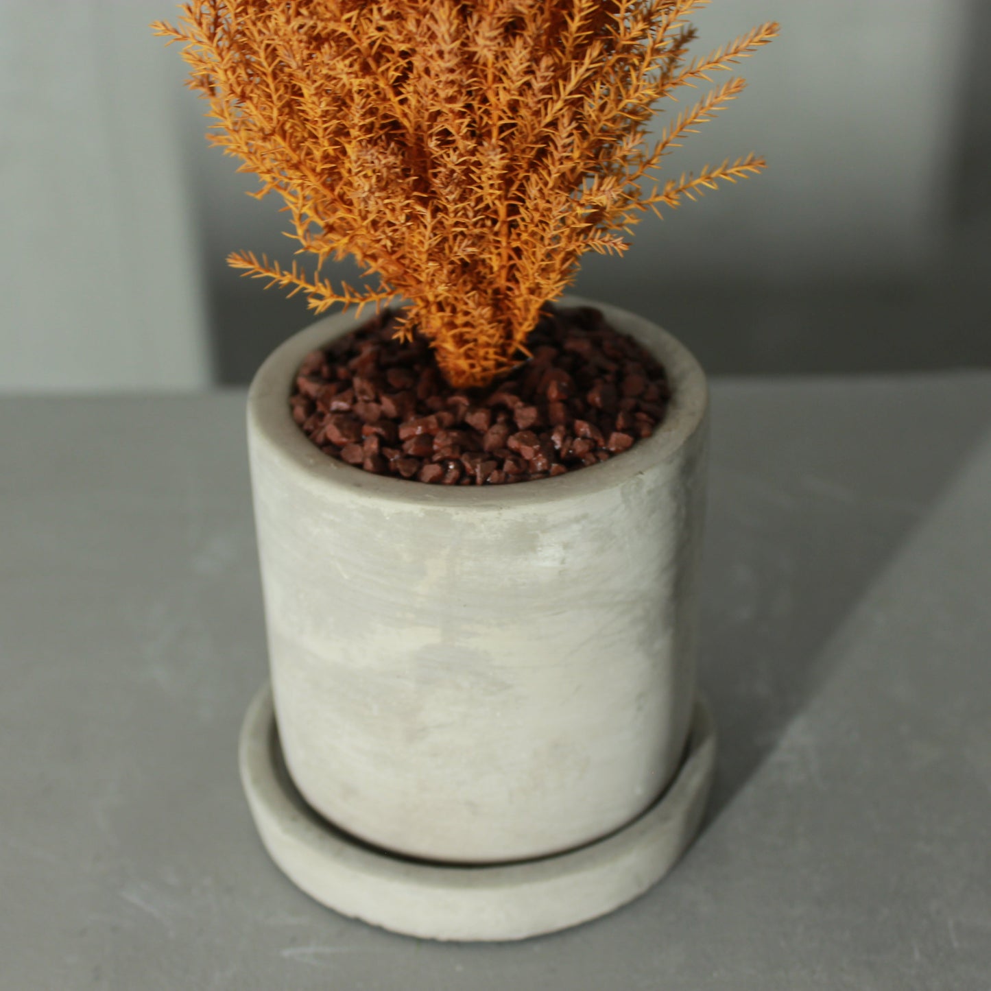Desk tree ゴールドクレストM イエロー