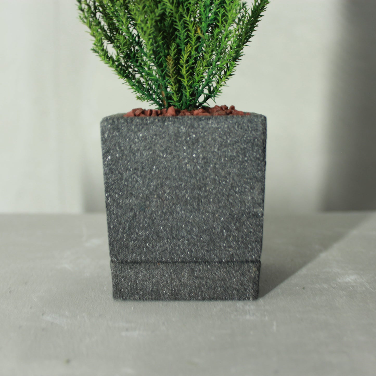 Desk tree ゴールドクレストS グリーン（砂鉢)