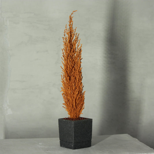 Desk tree ゴールドクレストS イエロー（砂鉢)